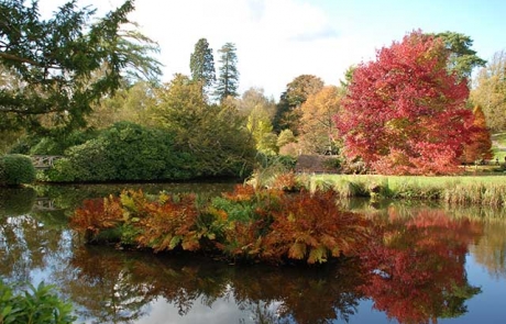 Scotney Castle Gardens