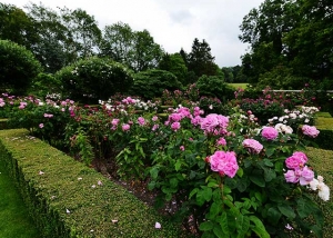 Pashley Manor Gardens