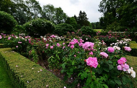 Pashley Manor Gardens