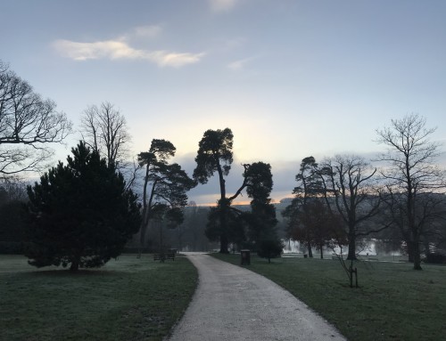 Winter Wonders at Wadhurst Castle Cottage