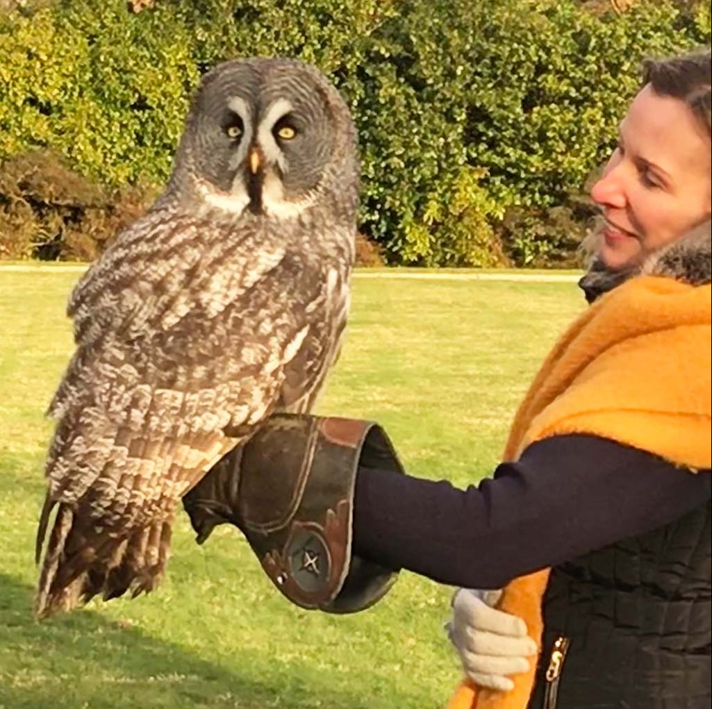 Owl Experience with Susan