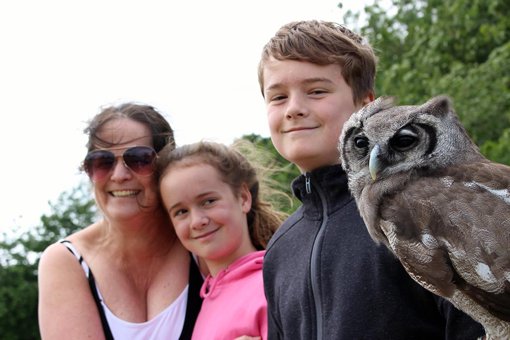 Family Day Out Owl Experience Wadhurst Castle