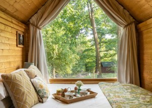 Goldcrest-Lodge