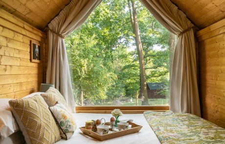 Goldcrest-Lodge