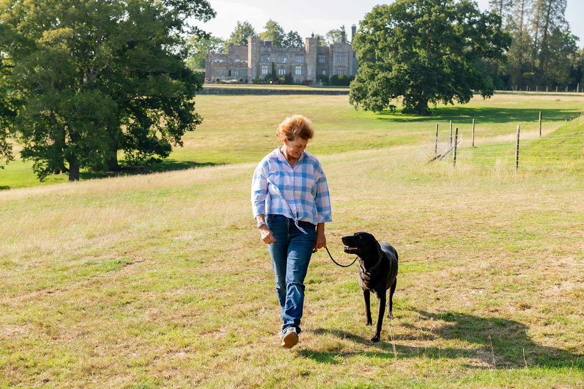 Tawny-Owl-Lodge-Dog-Walk Tawny Owl Lodge Dog Walk