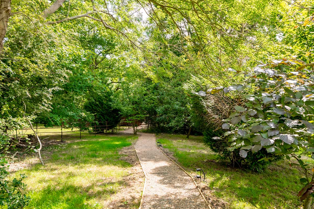 Tawny-Owl-Lodge-Path Tawny Owl Lodge Path