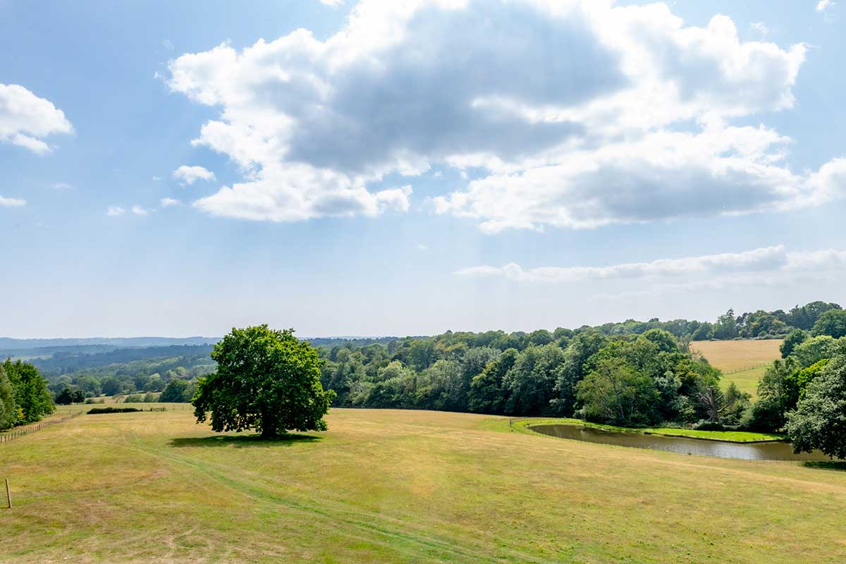 Wadhurst-view-across-the-park Wadhurst View Across the Park